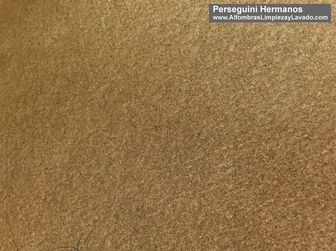 detalle alfombra limpia